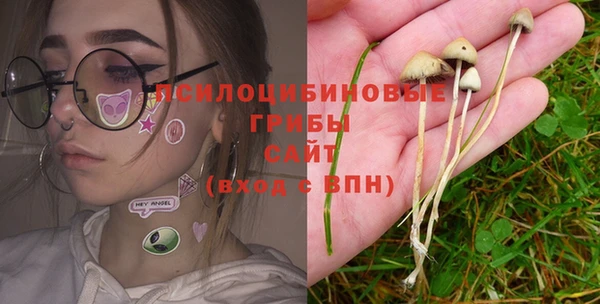 дмт Абинск