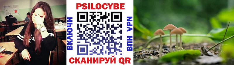 Псилоцибиновые грибы мицелий  купить   Златоуст 